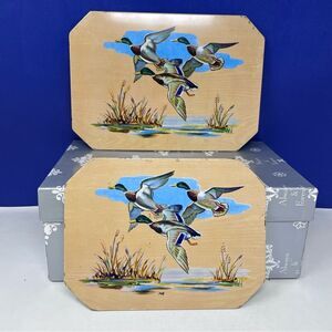 MCM 1950’s Pro-Tex Metal Mallard Duck Octagon Hot Plates Set